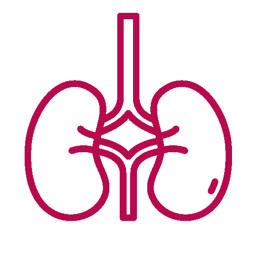 Renal Care Management